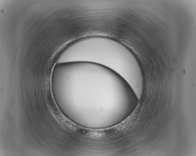 X0000087420352200704201051