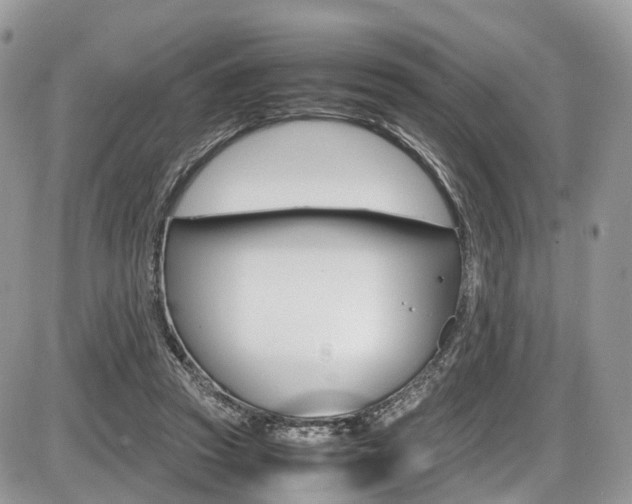 X0000087420353200704201051