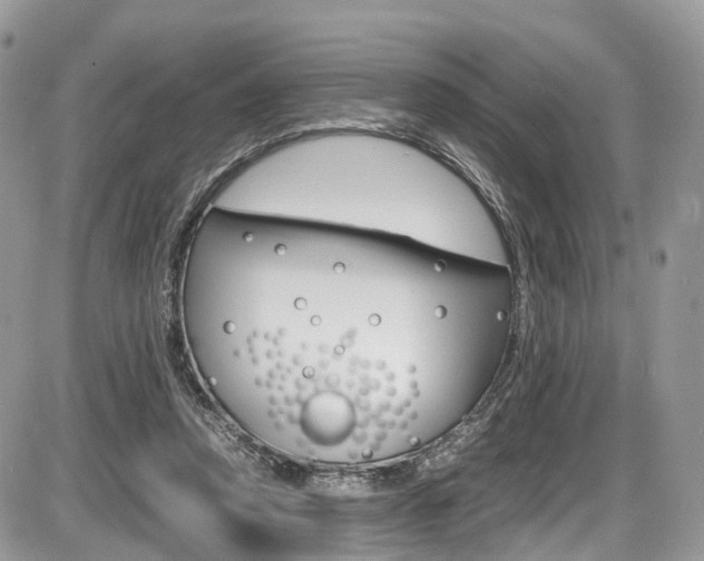 X0000087420354200704201051