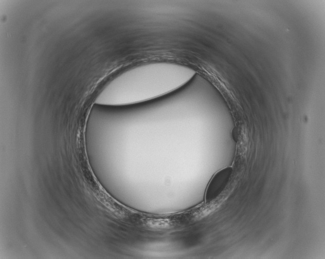 X0000087420355200704201051