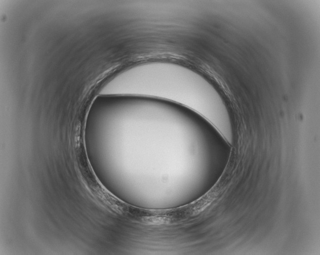 X0000087420356200704201051