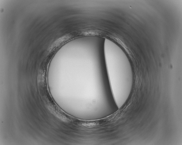 X0000087420357200704201051