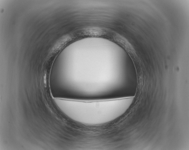 X0000087420358200704201051