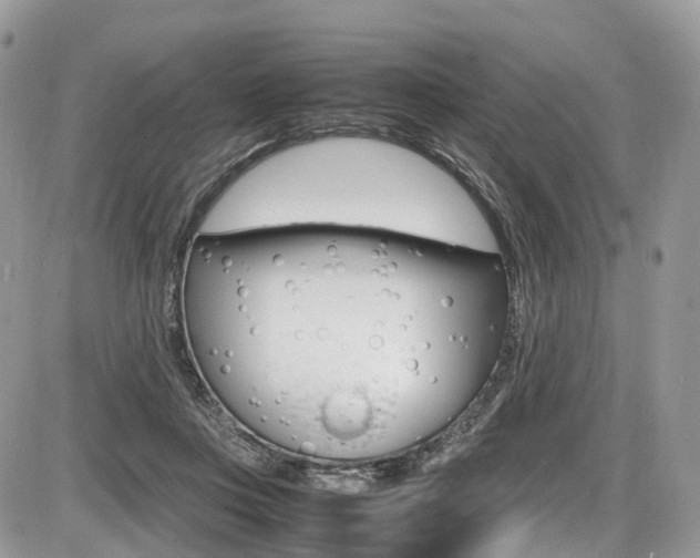 X0000087420359200704201051