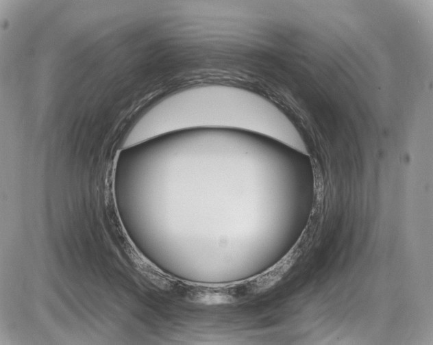 X0000087420360200704201051