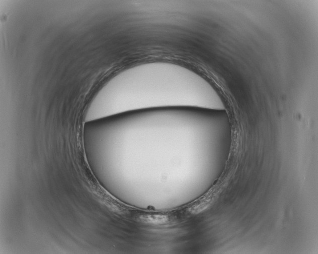 X0000087420361200704201051