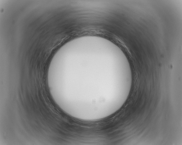 X0000087420362200704201051