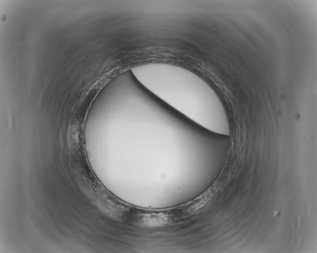 X0000087420363200704201051