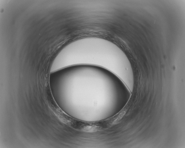 X0000087420364200704201051