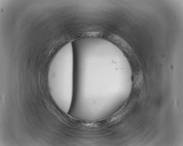 X0000087420365200704201051