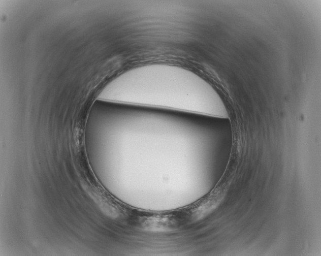 X0000087420366200704201051