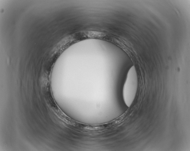 X0000087420367200704201051