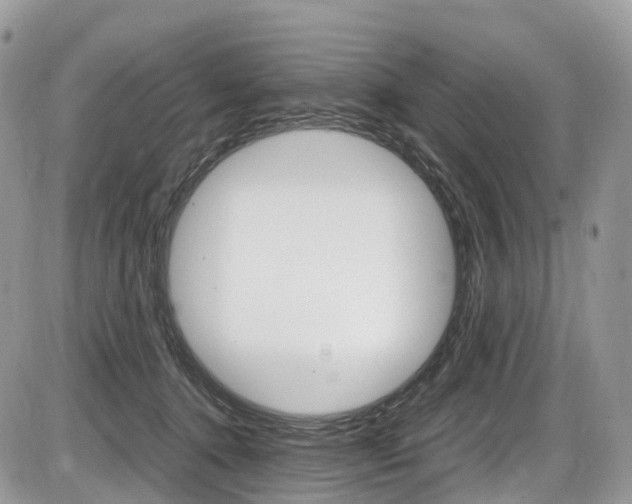 X0000087420368200704201051