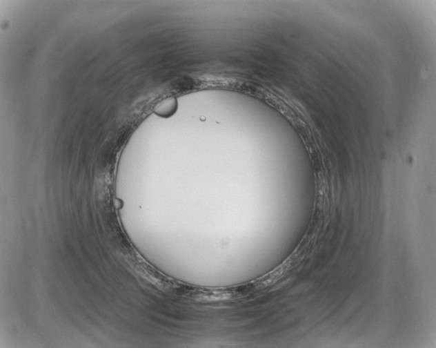 X0000087420369200704201051