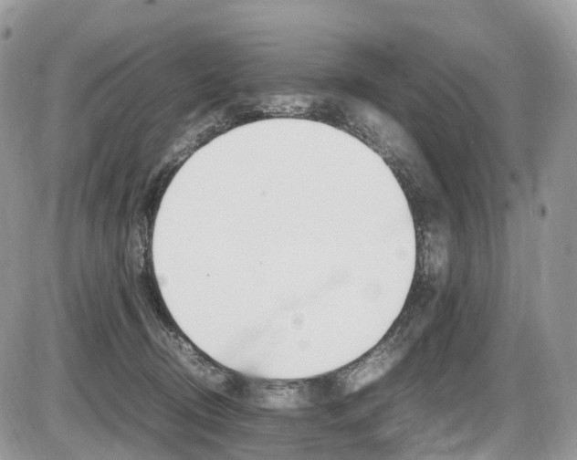 X0000087420370200704201051