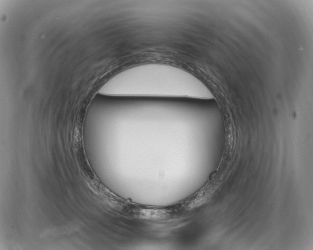 X0000087420371200704201051