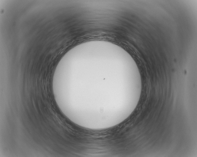 X0000087420372200704201051