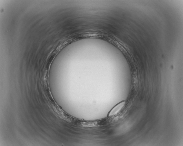 X0000087420373200704201051