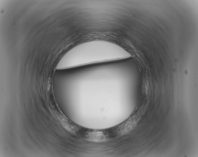 X0000087420374200704201051