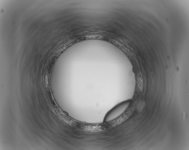 X0000087420375200704201051