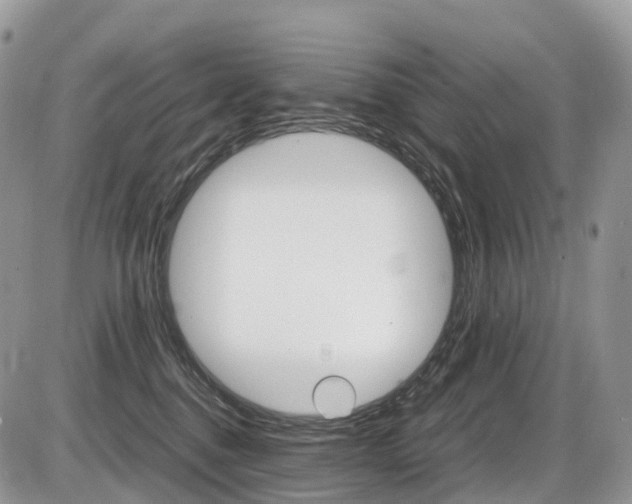 X0000087420376200704201051