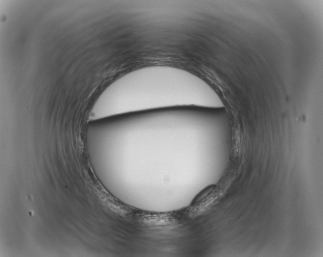 X0000087420377200704201051