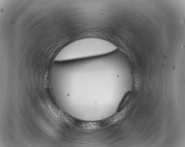 X0000087420378200704201051