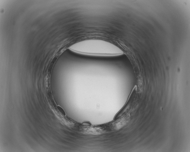 X0000087420379200704201051