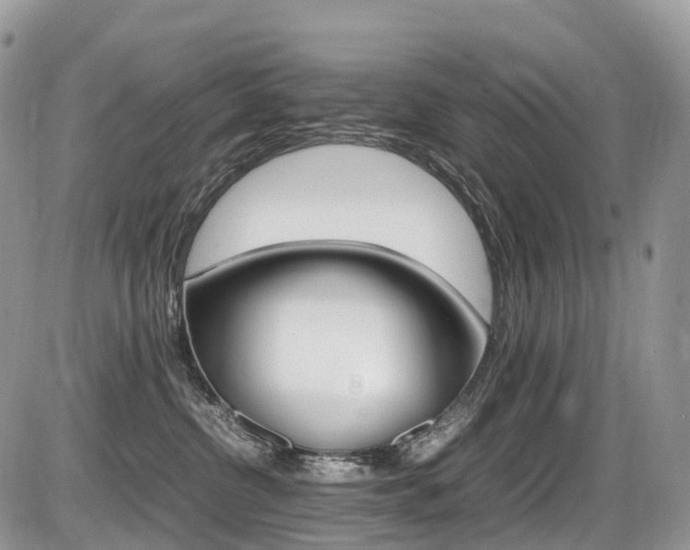 X0000087420380200704201051