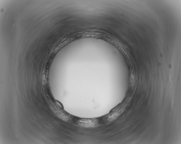 X0000087420381200704201052