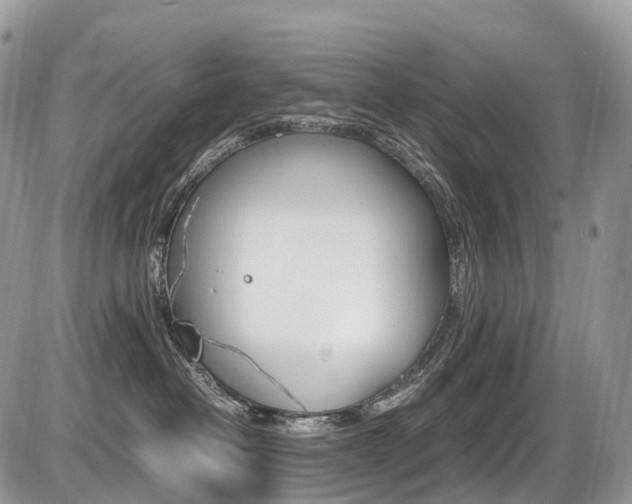 X0000087420382200704201052