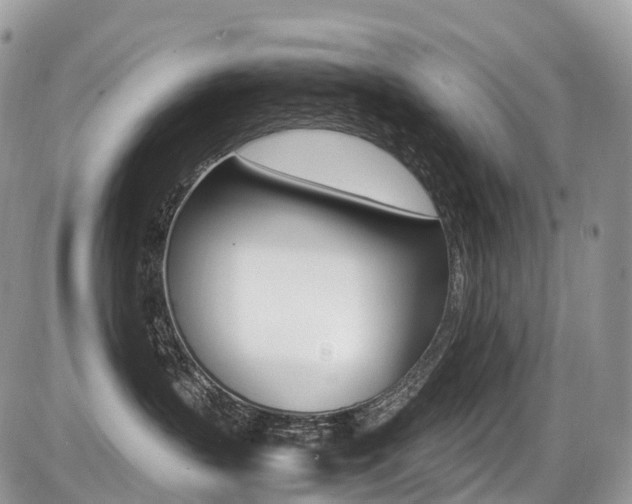 X0000087420383200704201052