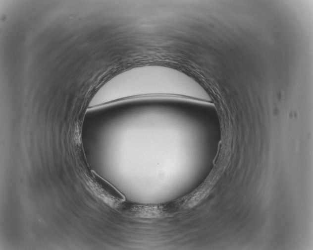 X0000087420384200704201052