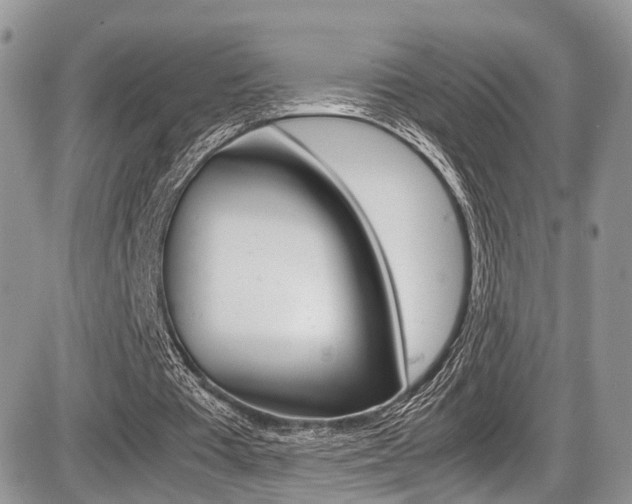 X0000087420385200704201051