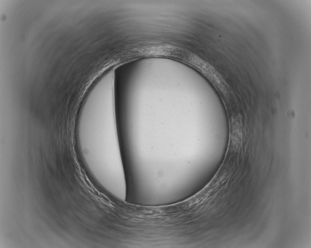 X0000087420386200704201051