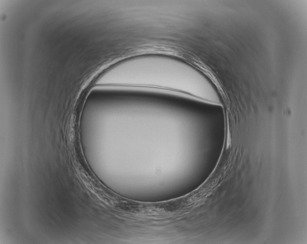 X0000087420387200704201051