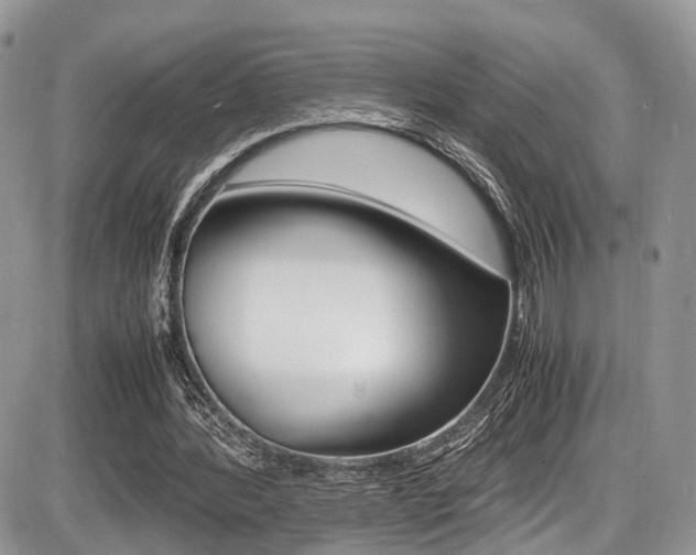 X0000087420388200704201051