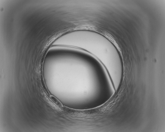 X0000087420389200704201051