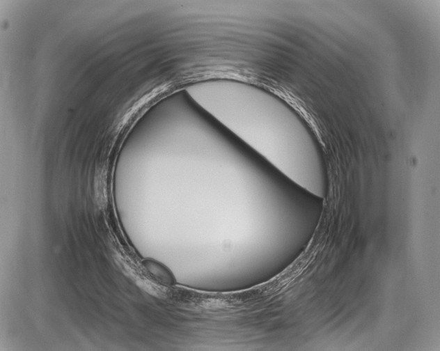 X0000087420390200704201051