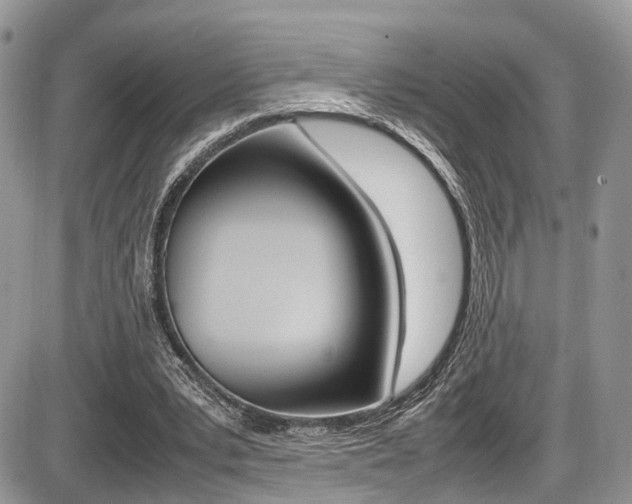 X0000087420391200704201051