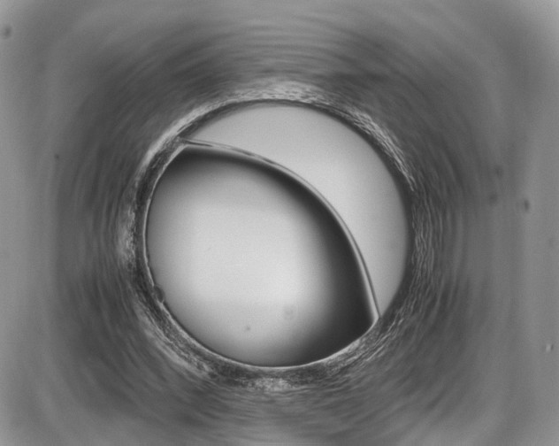 X0000087420392200704201051