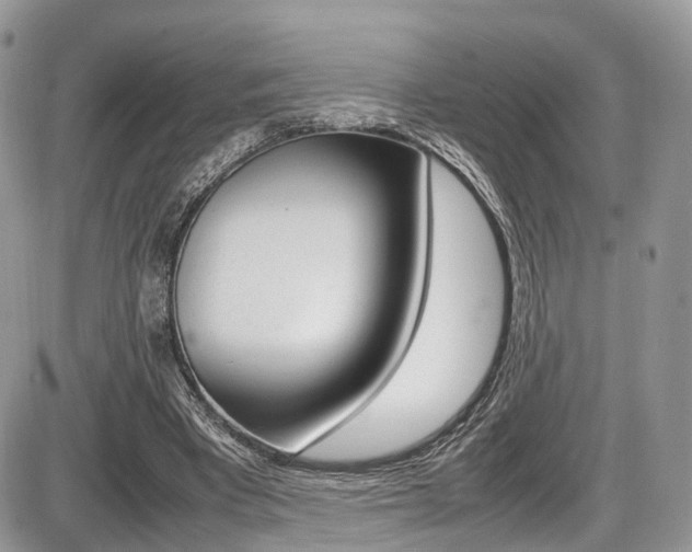 X0000087420393200704201051