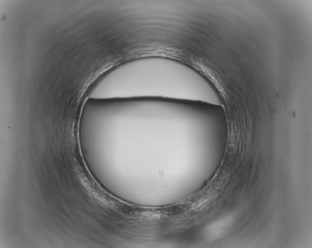 X0000087420394200704201051