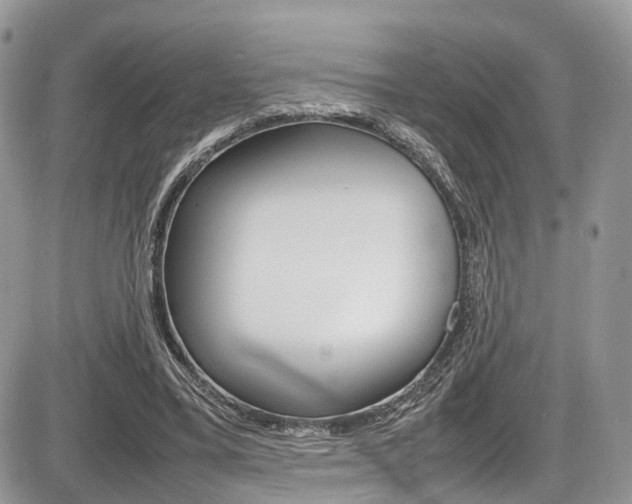 X0000087420395200704201051