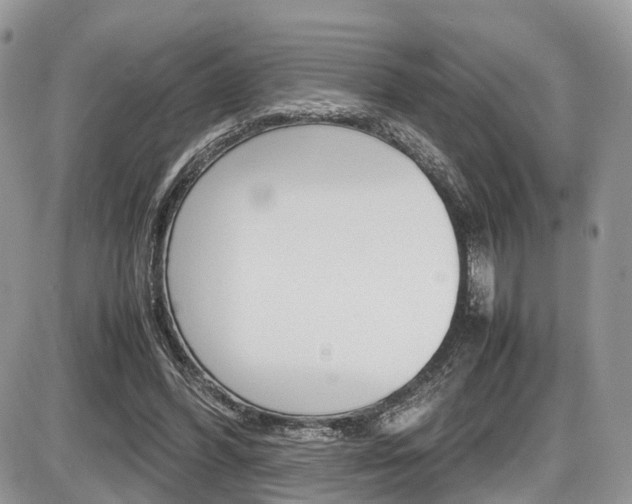 X0000087420396200704201051