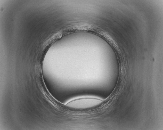 X0000087420397200704201051