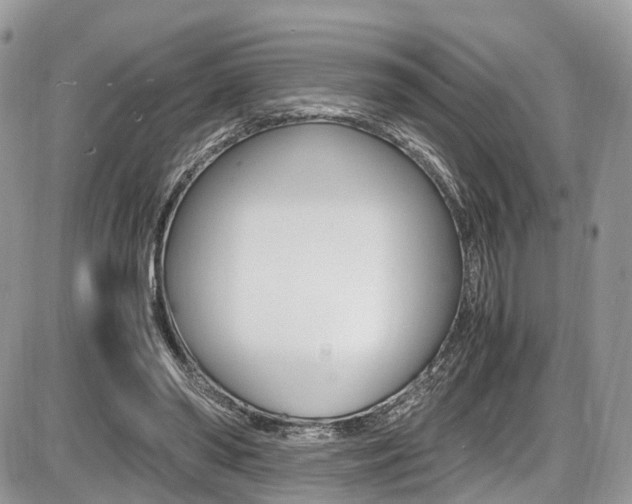 X0000087420398200704201051