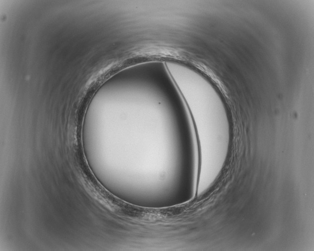 X0000087420399200704201051