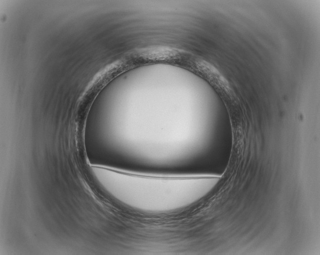 X0000087420400200704201051