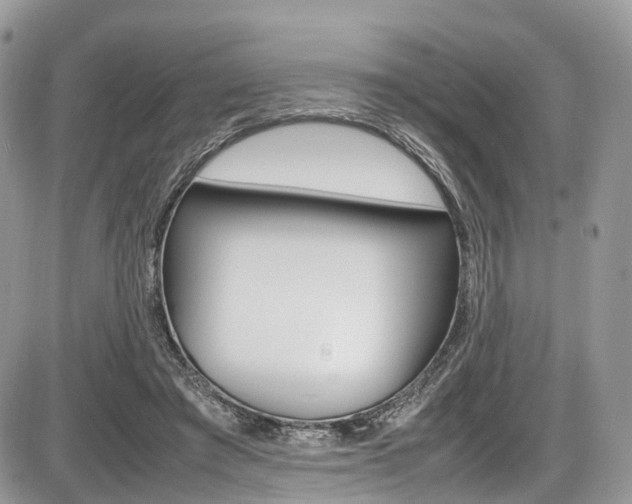 X0000087420401200704201051